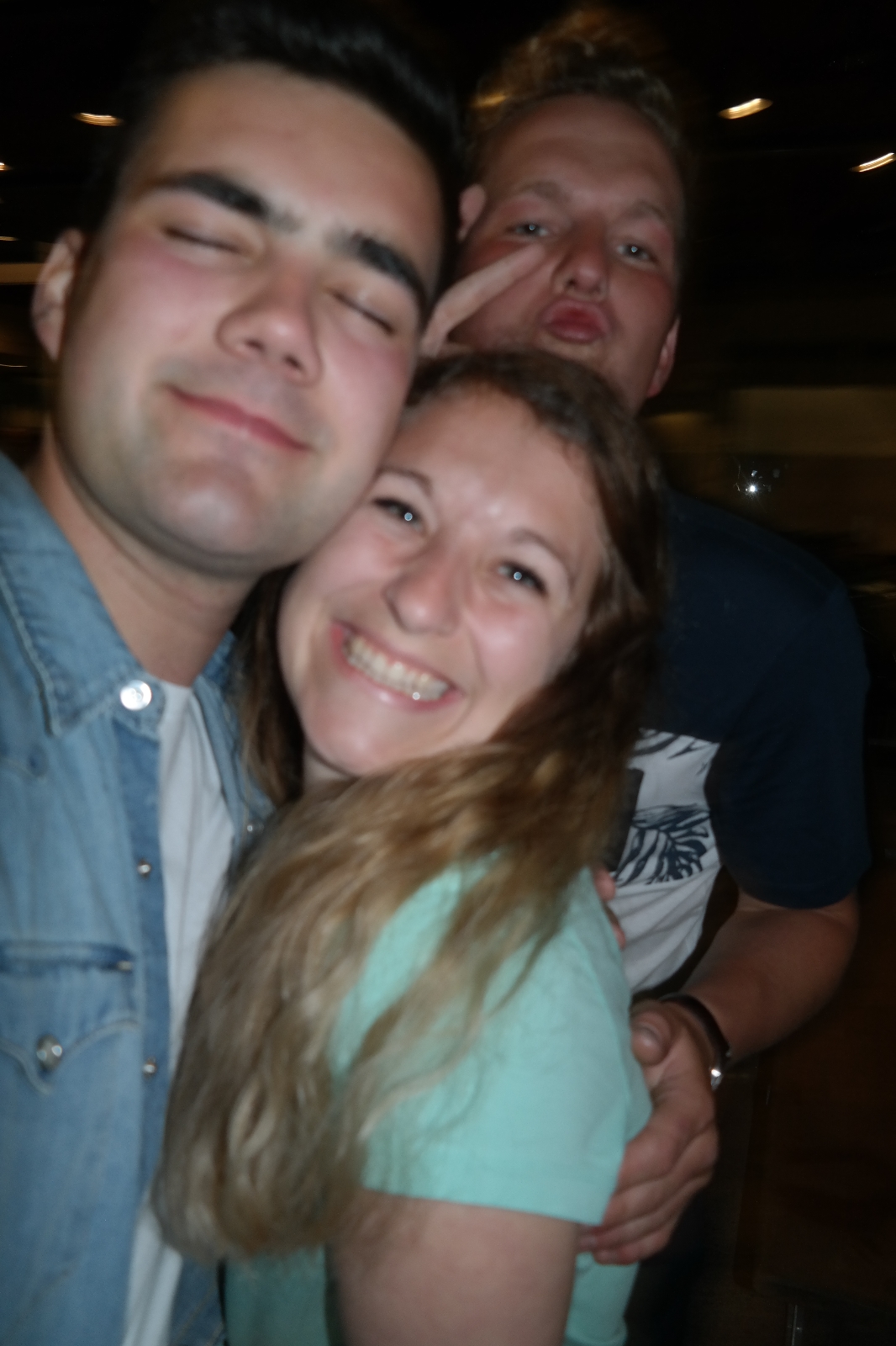 Bild 1 (442)